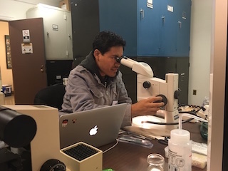 Jesus Alberto Cruz-López