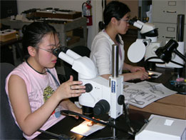 Jianhua Lin and Qiao Rong Huang