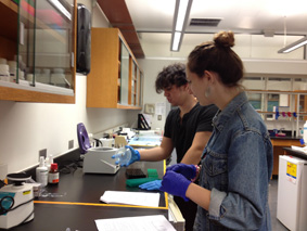 Sasha Reiter and Eleanor Goetz