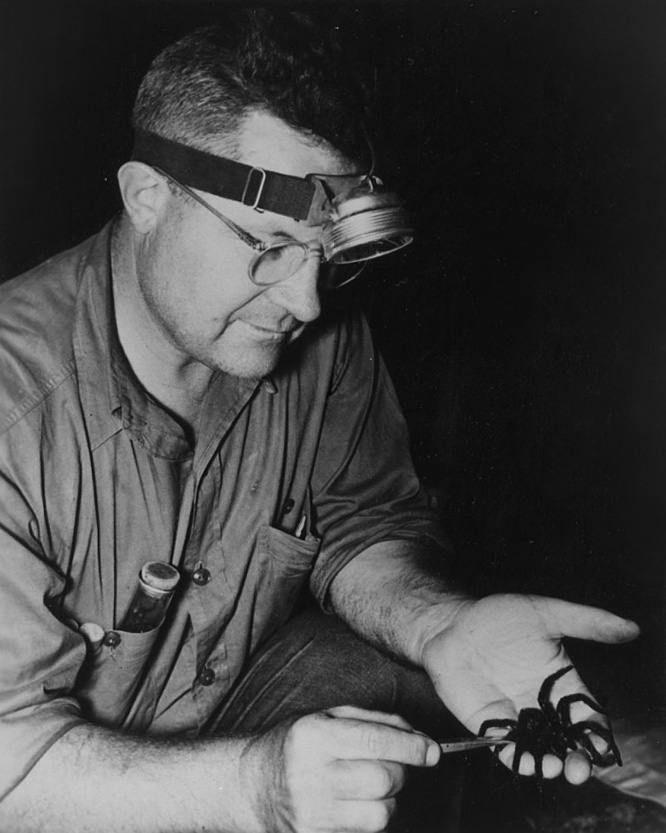 Willis J. Gertsch