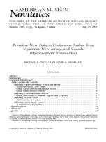 Cover of the journal American Museum Novitates